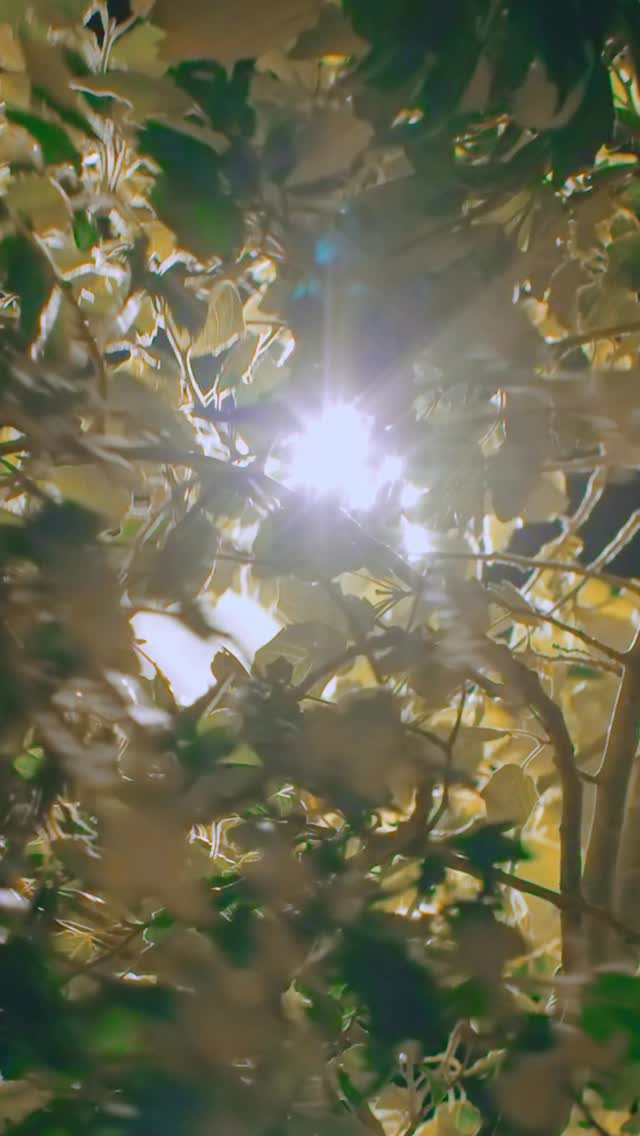 Enquanto a cidade cresce, acelera e faz mais barulho…alguns escolhem um novo jeito de viver.📍 A apenas 2 minutos do Shopping Iguatemi, na Av. mais exclusiva de Rio Preto🌿 Mais verde. Mais respiro. Mais silêncio.🚗 Perto de tudo, longe do trânsito.No Legacy Impper, o tempo desacelerae a qualidade de vida assume o protagonismo.Legacy Impper.Viver bem é uma escolha.Entre em contato com um corretor da sua confiança ou fale com o Grupo Impper. Enquanto a cidade cresce, acelera e faz mais barulho…alguns escolhem um novo jeito de viver.📍 A apenas 2 minutos do Shopping Iguatemi, na Av. mais exclusiva de Rio Preto🌿 Mais verde. Mais respiro. Mais silêncio.🚗 Perto de tudo, longe do trânsito.No Legacy Impper, o tempo desacelerae a qualidade de vida assume o protagonismo.Legacy Impper.Viver bem é uma escolha.Entre em contato com um corretor da sua confiança ou fale com o Grupo Impper.