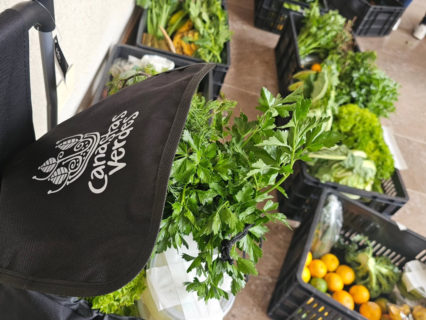 #DíadeEntregas Desde Canastas Verdes seguimos promoviendo prácticas que reivindican la economía en sus diferentes facetas (producción, financiación, comercio y consumo) como medio y no como fin, al servicio de la sostenibilidad de la vida y no del capital o del lucro🌱
💜Nuestra relación entre la producción y el consumo se basa en principios de solidaridad, espiritualidad, reciprocidad, interdependencia y eco dependencia, a favor de la vida y todo lo que la sostiene.
Les invitamos a construir juntos, una apuesta por transformar desde la economía la forma en que convivimos💮