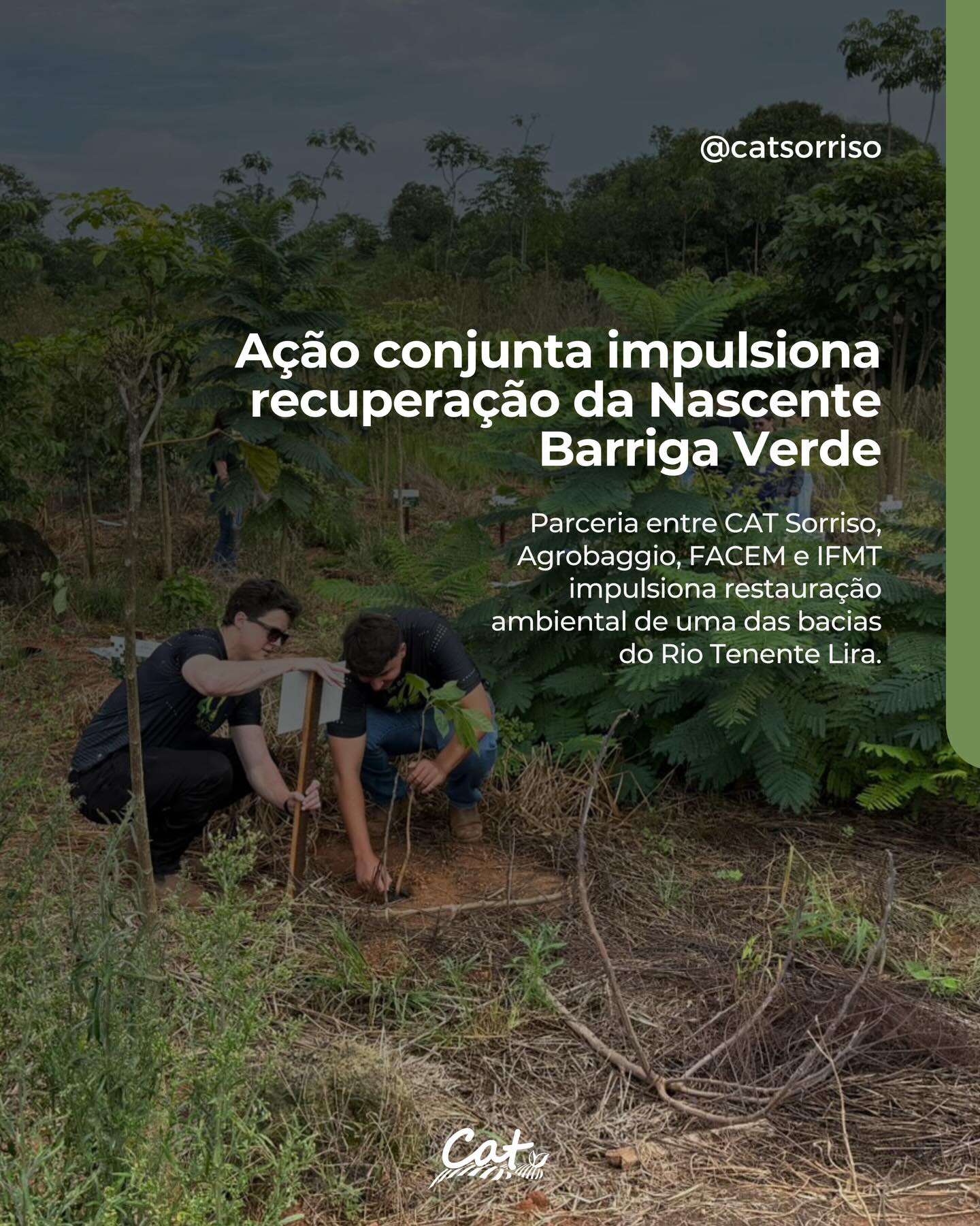 A Nascente 43 – Barriga Verde recebeu uma ação de replantio de 200 árvores nativas, fortal…