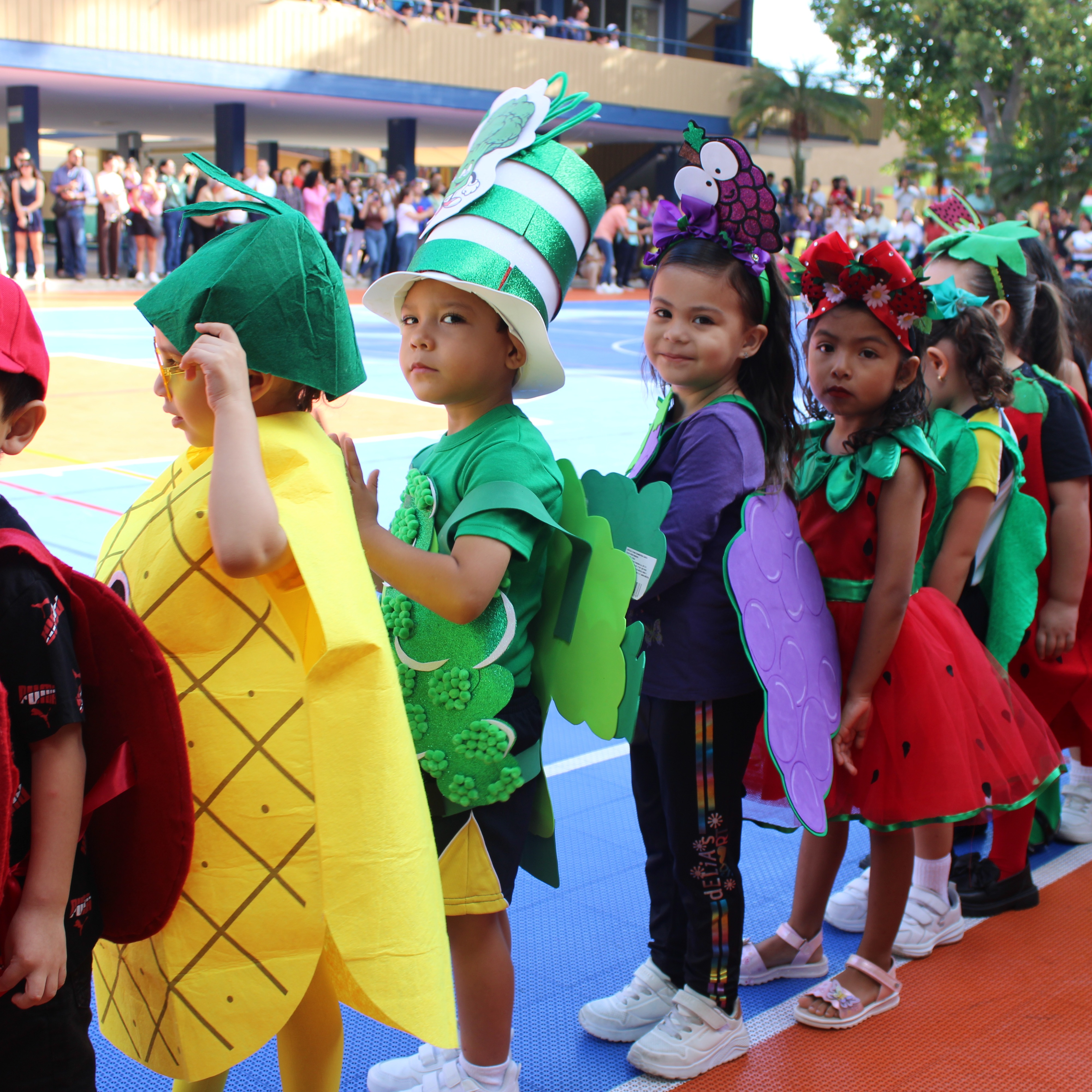 El Desfile de las frutas y verduras más lindas del mundo🥰
Acompañemos a nuestros niños a vivir y conocer la importancia de una rica y sana alimentación.
#Preescolar #Desfile #FrutasyVerduras #EducandoEnValores