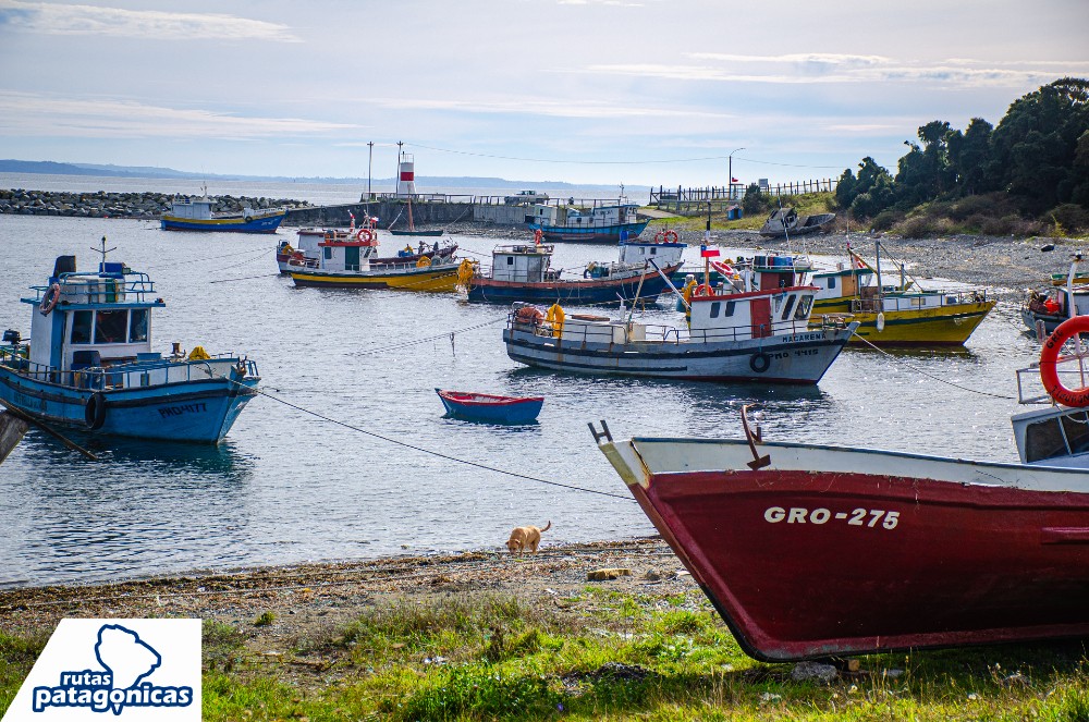 ✨ ¡Descubre la magia de la Ruta Escénica Costera de Hualaihué! 🏞️🌊
¿Buscas tu próxima aventura en la Patagonia Verde?
Prepárate para recorrer los 78 km de la ruta W-609 como alternativa a la Carretera Austral.
🌿 Explora hermosas playas, ríos, humedales costeros y asombrosos geositios como las Cuevas de Poe o el Cerro La Silla
. 🪵 Conoce el arte de los carpinteros de ribera, quienes resguardan las técnicas ancestrales de construcción de tradicionales lanchas de madera.
. ⛪ Maravíllate con templos construidos en madera nativa e influenciados por la Escuela Chilota.
🗺️ Info de tour operador, complejos termales, transbordador y las mejores paradas de la ruta en la bio
#Hualaihué #SurDeChile #ViajeResponsable #RutaCostera #PatagoniaVerde #CarreteraAustral #RutaDeLosParques #RutasPatagonicas 👌